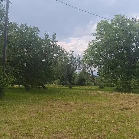 The Hidden Gem, 1 Bedroom, 1 Living Room, 4 Beds, Sleeps 5 בית נופש