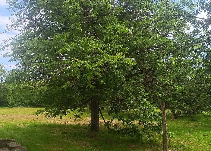 The Hidden Gem, 1 Bedroom, 1 Living Room, 4 Beds, Sleeps 5 בית נופש שיופוק